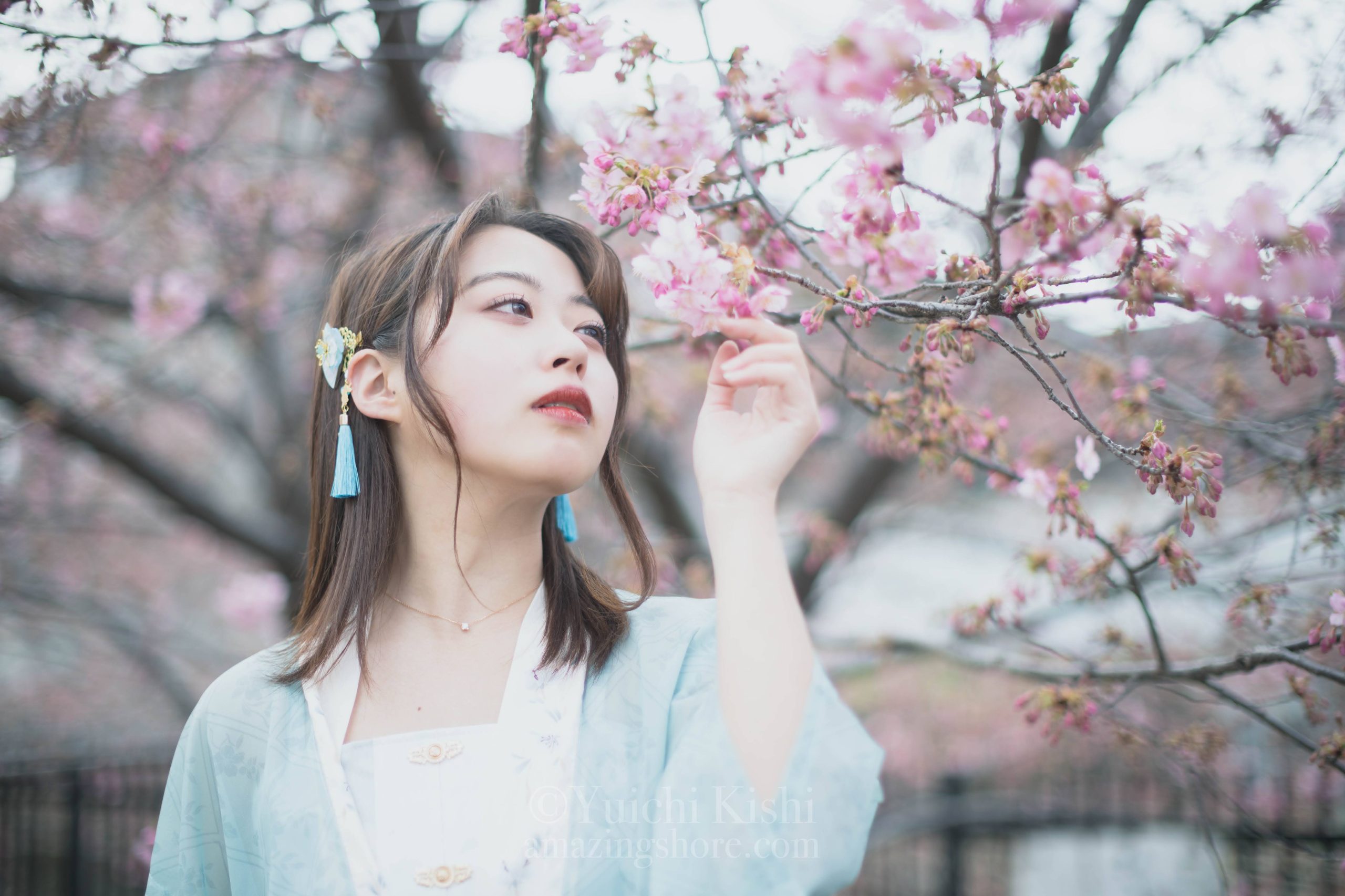 韓服で桜撮影1