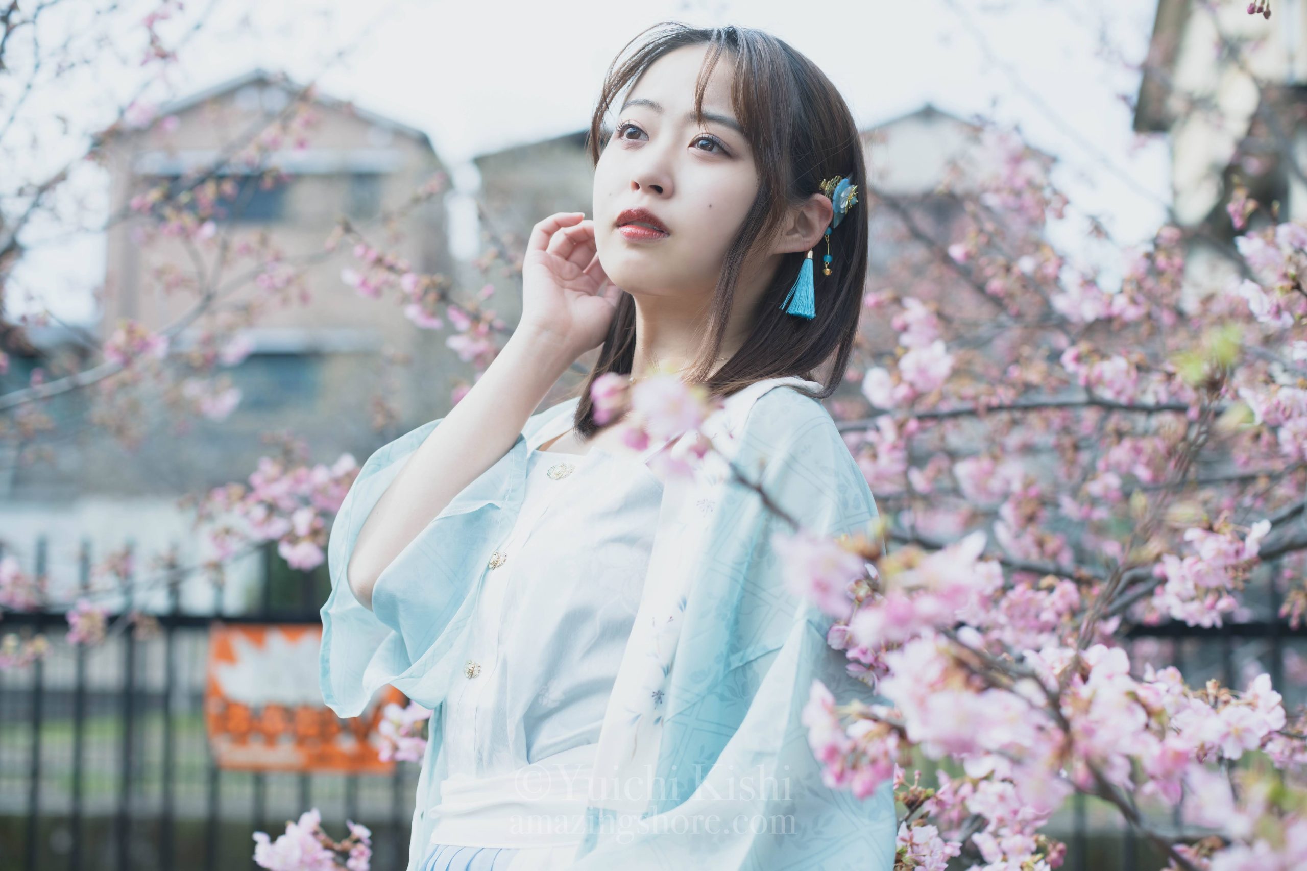 韓服で桜撮影3