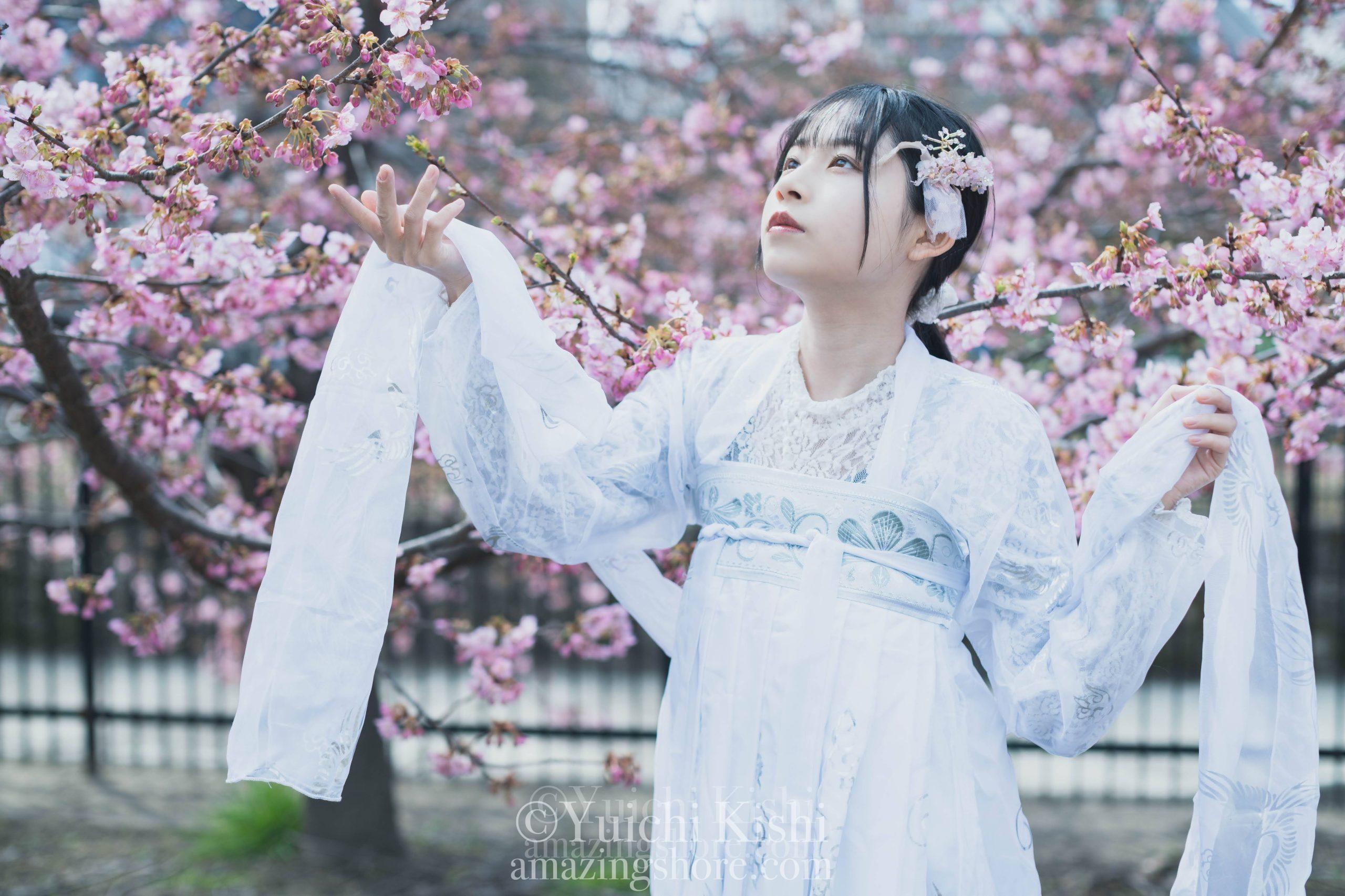 韓服で桜撮影6